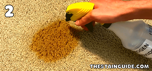 Remove Coffee Stains From Carpet | The Stain Guide